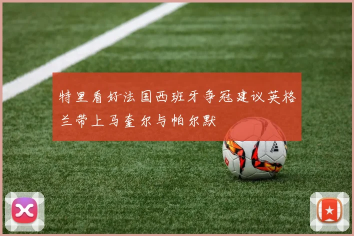 特里看好法国西班牙争冠建议英格兰带上马奎尔与帕尔默