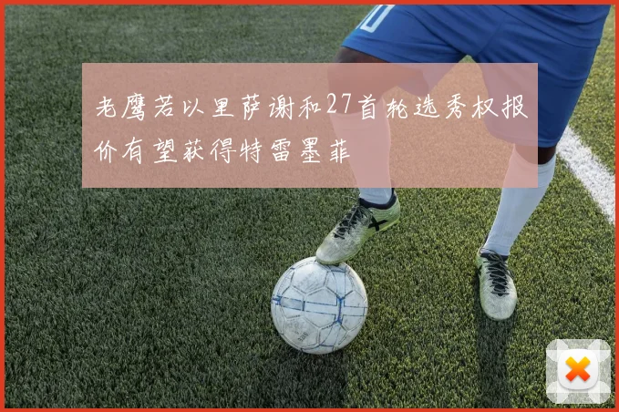 老鹰若以里萨谢和27首轮选秀权报价有望获得特雷墨菲