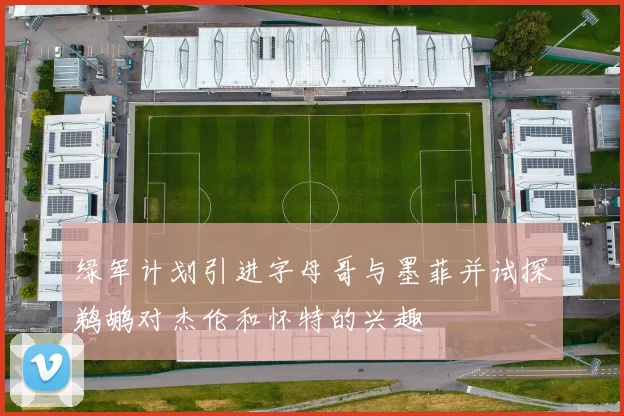 绿军计划引进字母哥与墨菲并试探鹈鹕对杰伦和怀特的兴趣